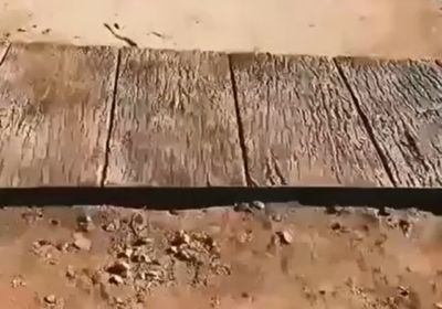 Имитация коры